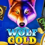 wolf gold slot machine