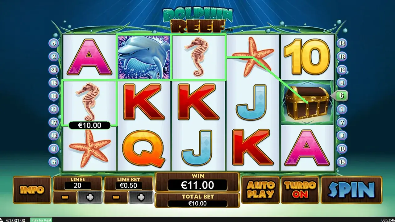 Dolphin Reef Simbolurile Speciale