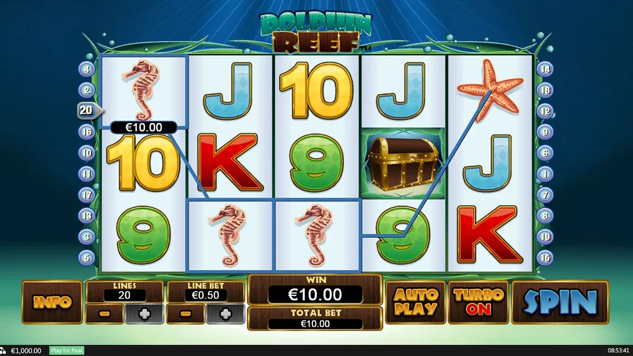 Dolphin Reef Câștigă