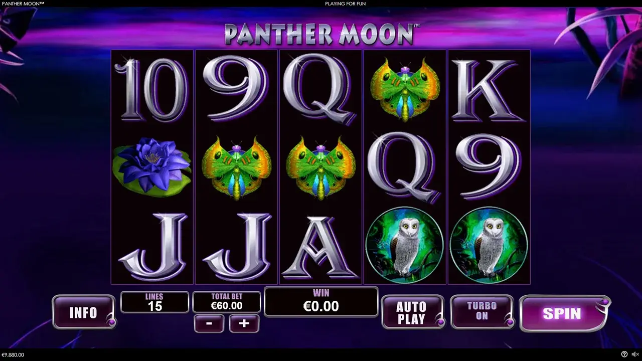 Panther Moon Joc Gratuit Panther Moon Joc Gratuit